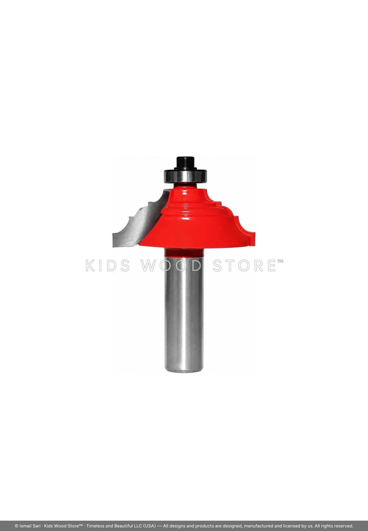 Bearing-Guided Profile Bit S12 × D49 × H19 Z2 — photo 1